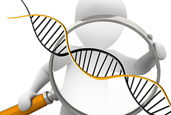 十堰DNA亲子鉴定收费标准，十堰亲子鉴定办理流程